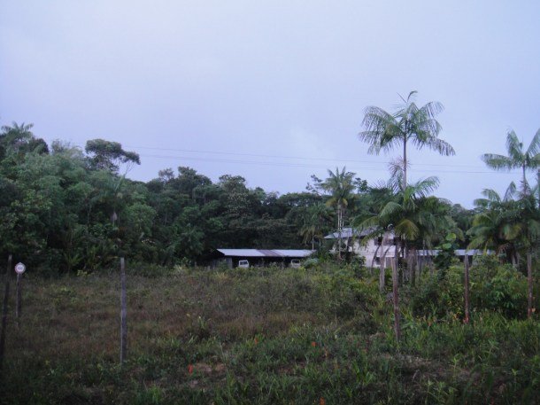 karl-penta-french-guiana (2) outskirts of Cayenne