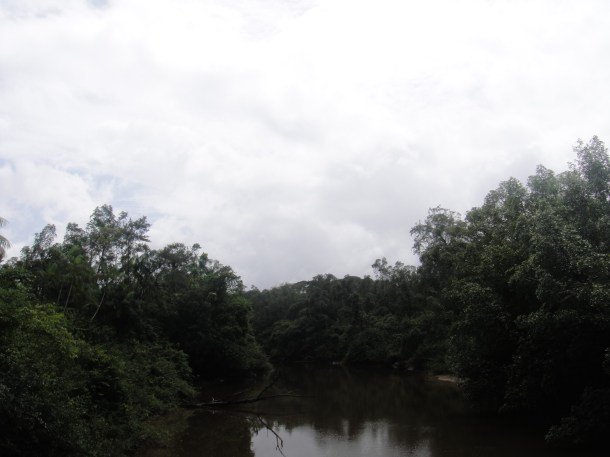 karl-penta-french-guiana (4) Jungle