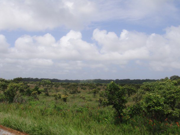karl-penta-french-guiana French Guiana countryside