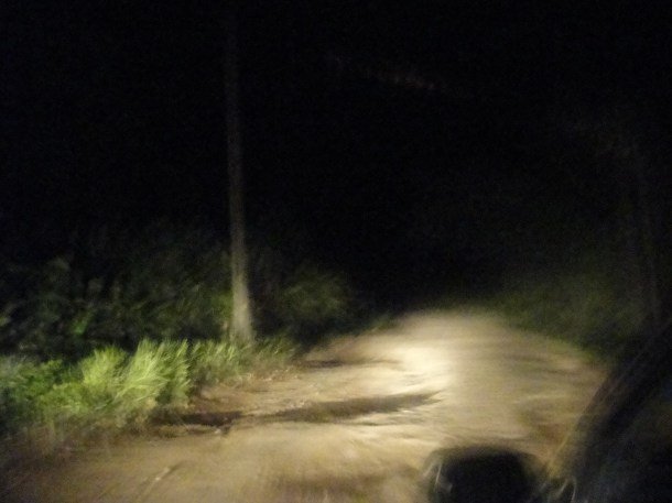suriname-paramaribo (3) Night drive to Paramaribo